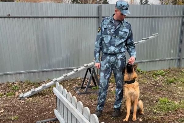 29 сотрудников УИС завершили обучение в Межрегиональном учебном центре по профессии «Проводник (вожатый) служебных собак»